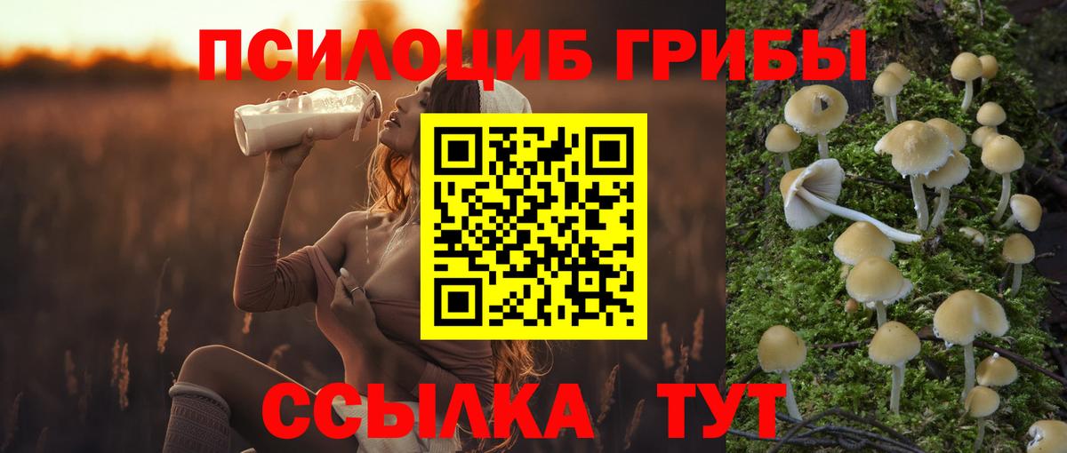 Галлюциногенные грибы Cubensis Кимовск